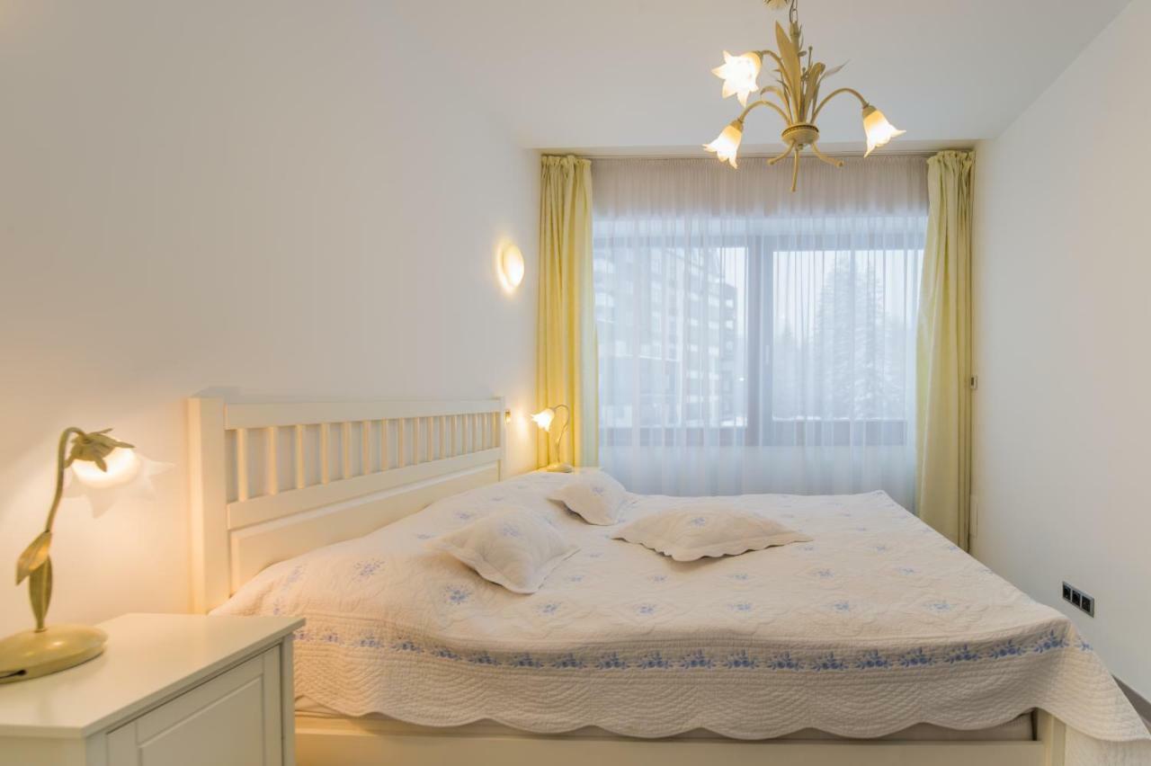 Charming 3-Bedroom Apartment ポイアナ・ブラショフ エクステリア 写真